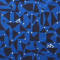 Echino Patterns - Canvas